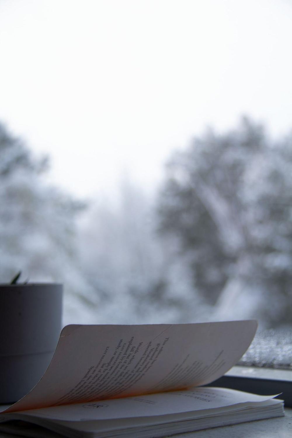 Pages turning on a windowsill, snowy trees outside