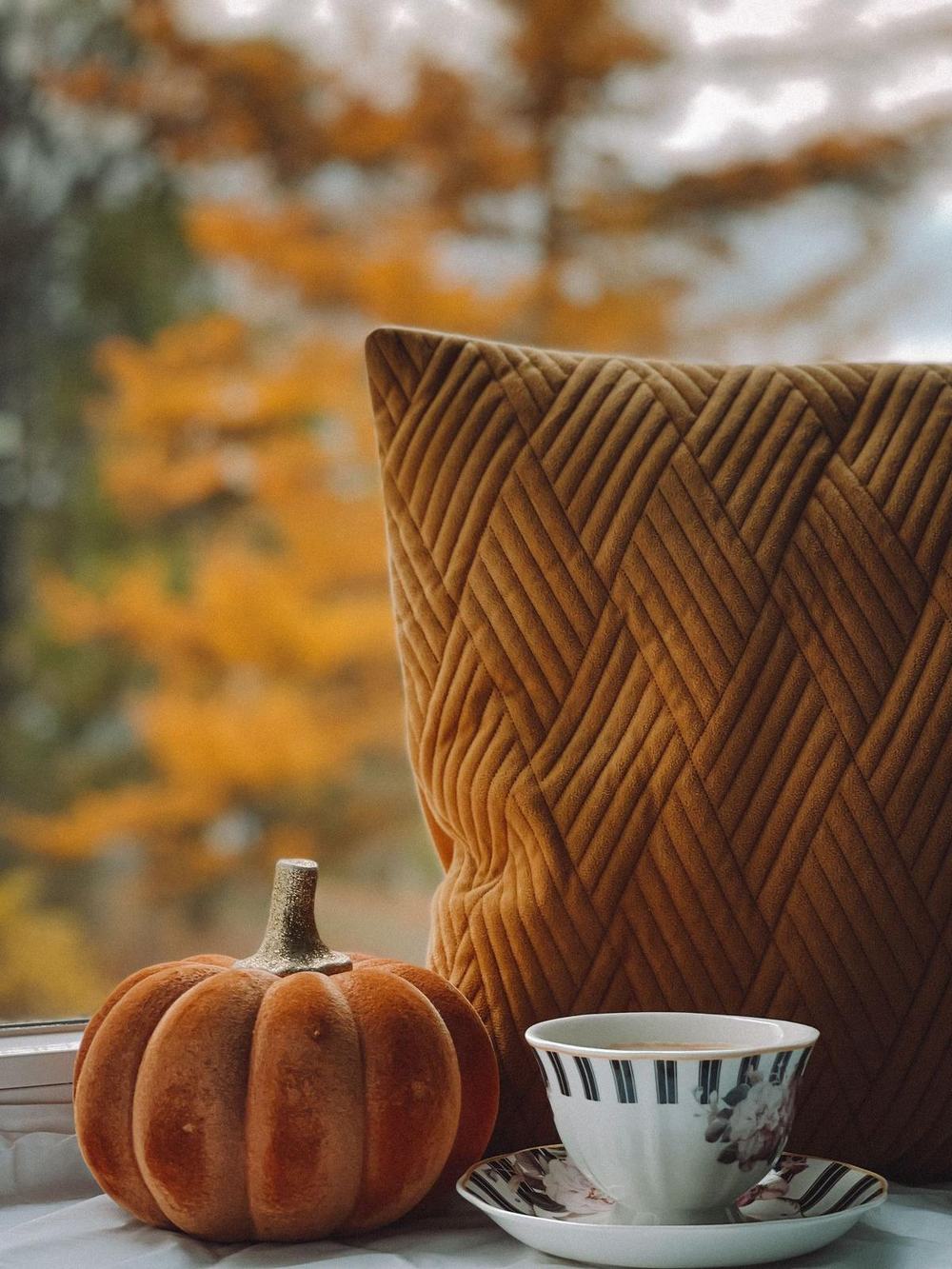 Velvet pumpkin and autumn pillow by a window
