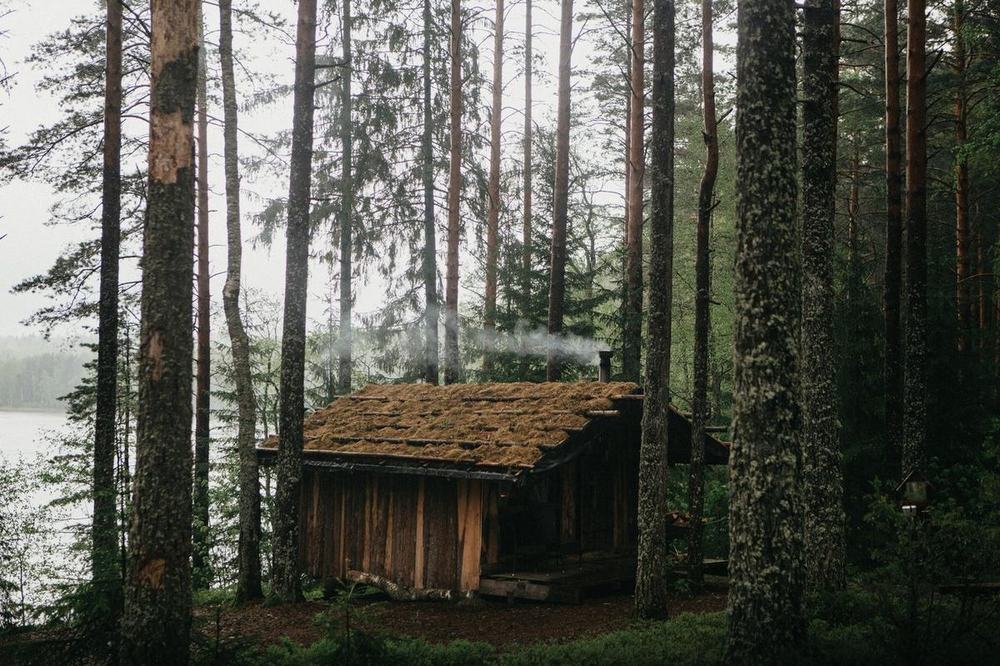 A small cabin in a misty forest
