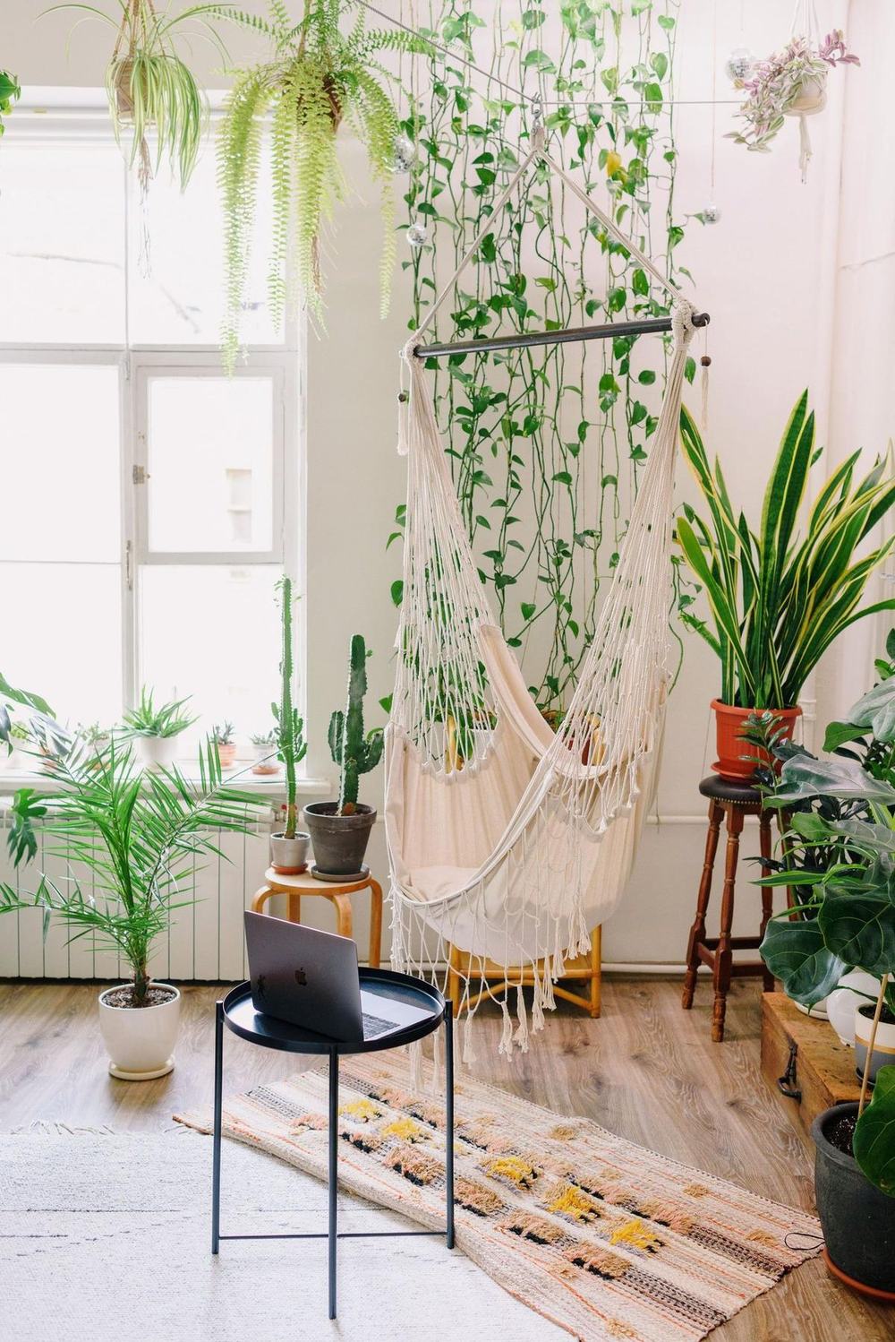 Indoor hammock chair among houseplants