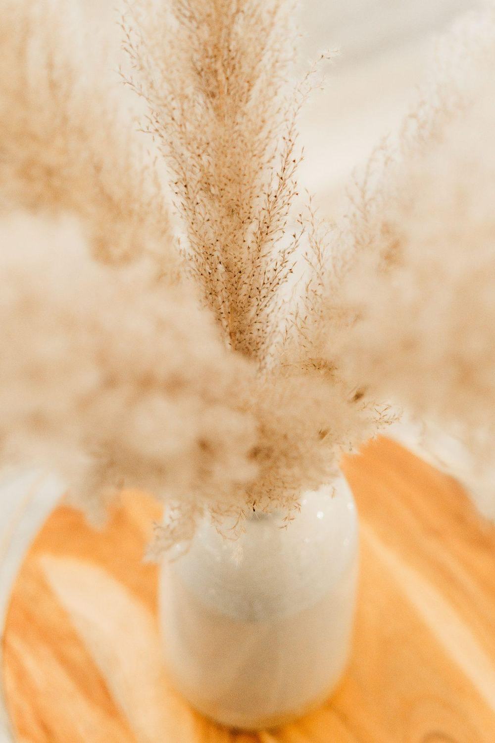 Soft dried pampas grass stems in a white ceramic vase on a wooden table