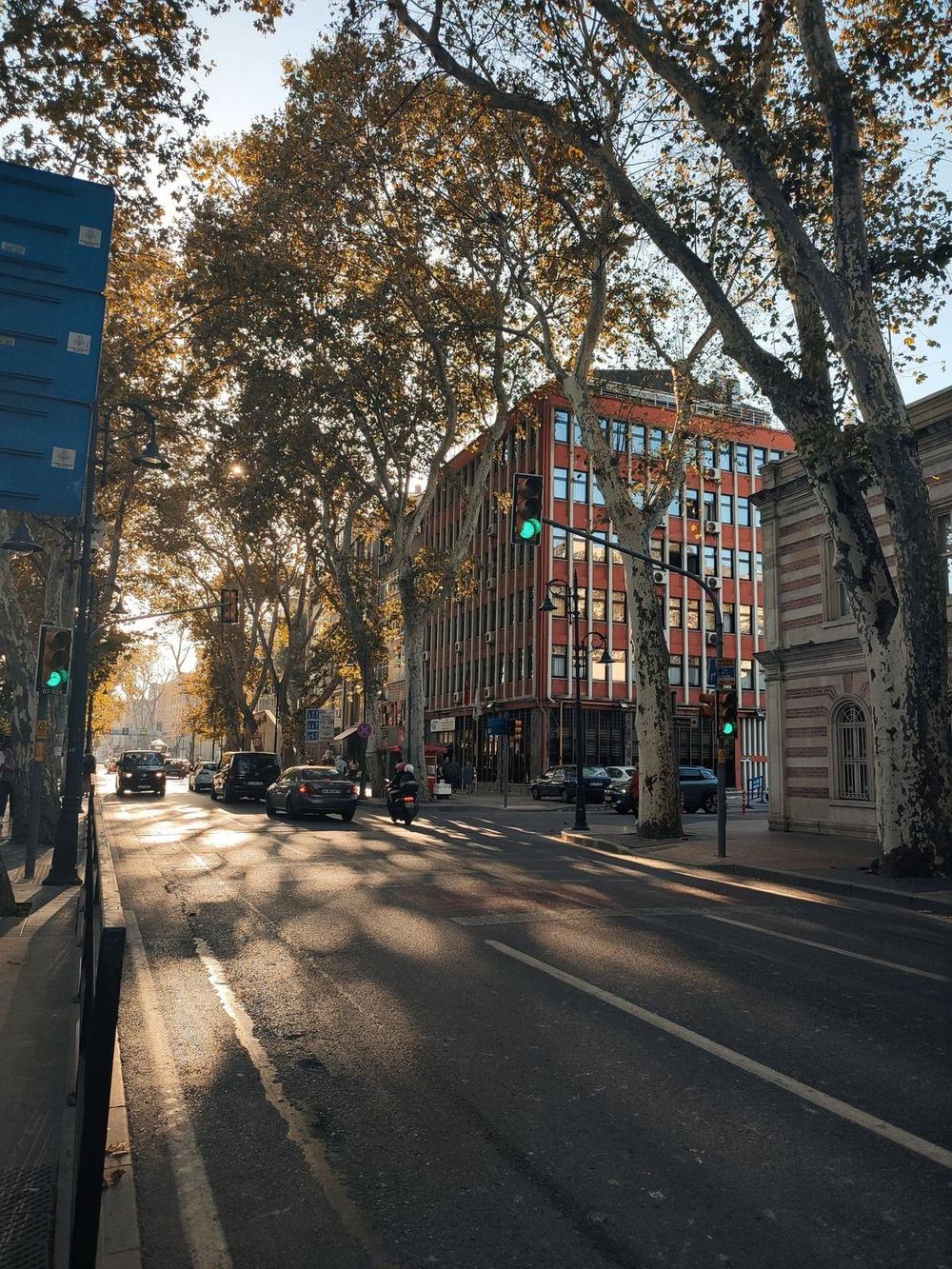 A city street with green traffic lights